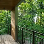 Orman Evi Edelforst Baumhaeuser *