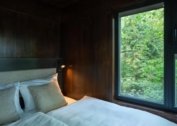 Edelforst Baumhaeuser 山林小屋 *